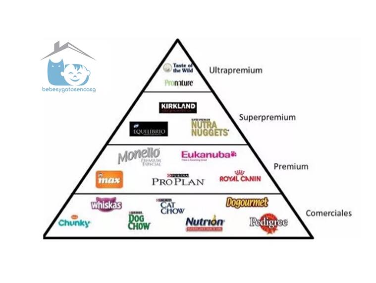 Pirámide Alimenticia para Gatos